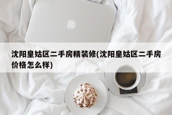 沈阳皇姑区二手房精装修(沈阳皇姑区二手房价格怎么样)