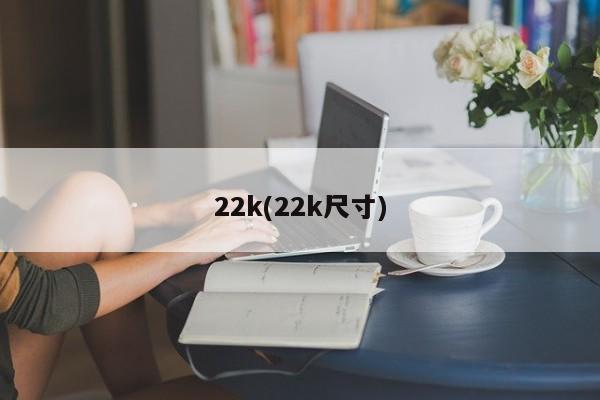 22k(22k尺寸)