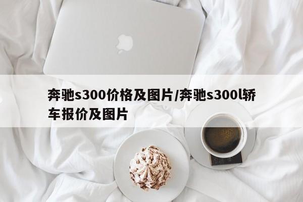 奔驰s300价格及图片/奔驰s300l轿车报价及图片